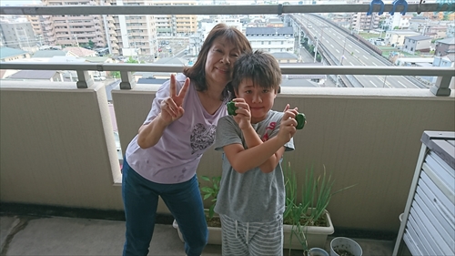 29���E�����L�c�l�����x���W�����I